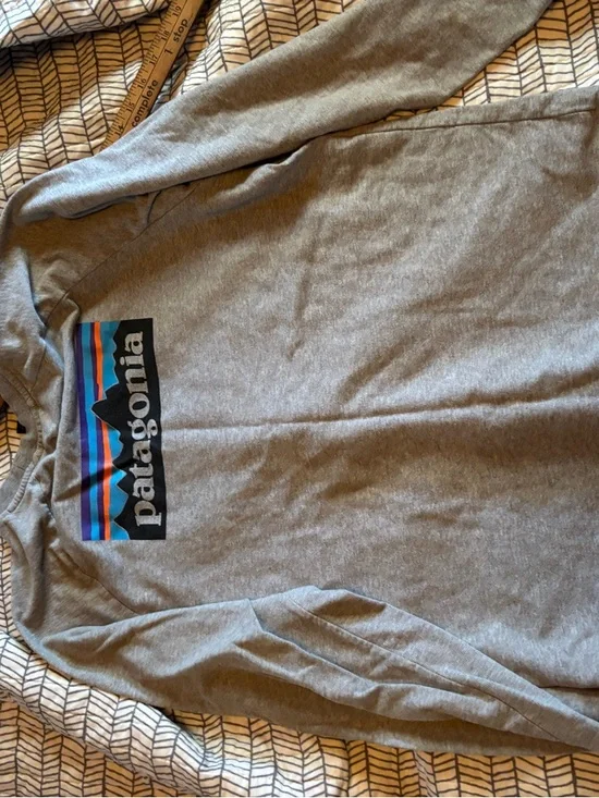 Patagonia organic cotton Men's Long-Sleeve Crewneck Shirt Gray - Picture 1 of 6